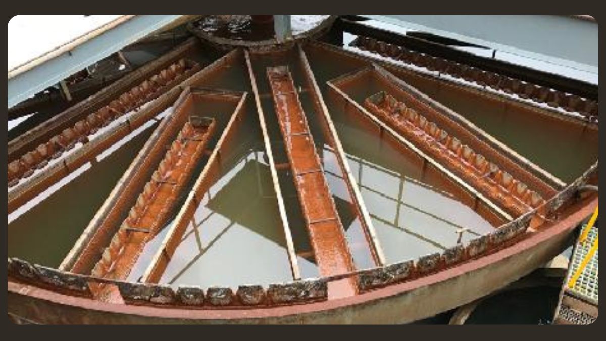 stp maintenance services